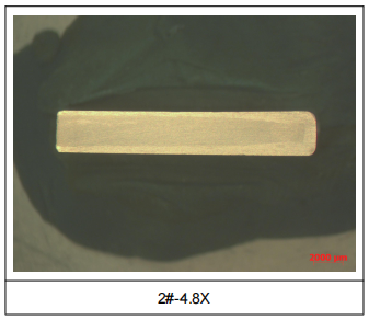 5低倍組織測試.png